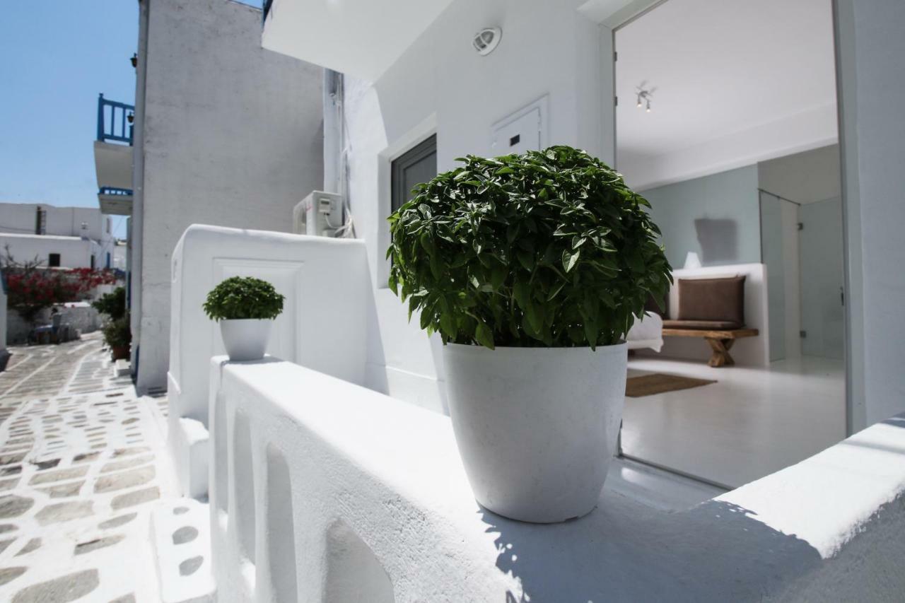 Guest house Arktos White *